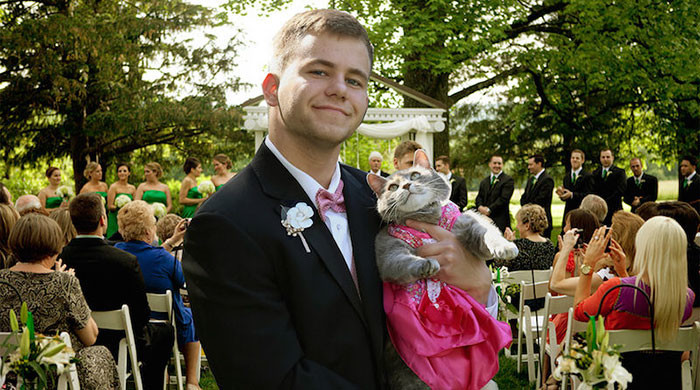 Парню было не с кем пойти на выпускной, поэтому он взял с собой кошку