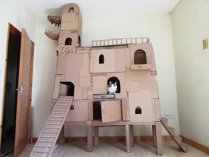 Человек построил для своего кота замок из картонных коробок в виде дракона