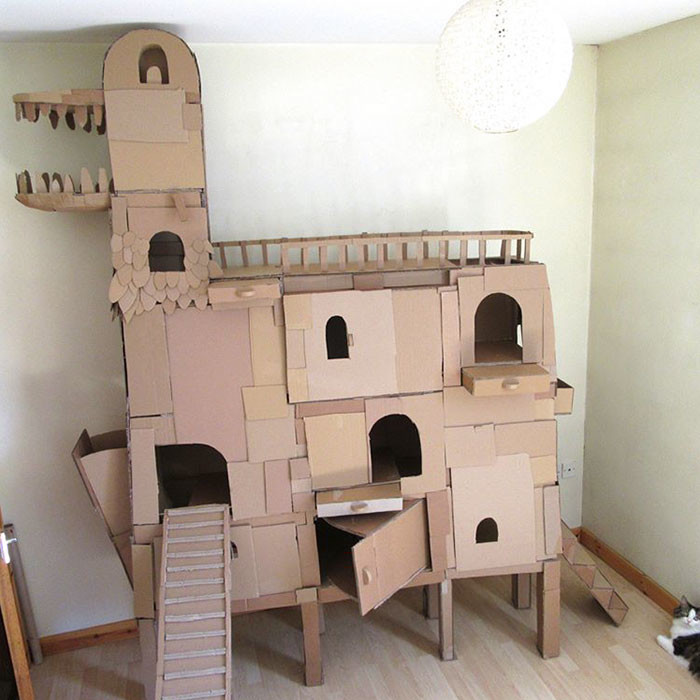 Человек построил для своего кота замок из картонных коробок в виде дракона