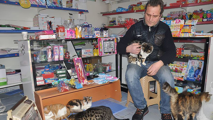 Именно так поступил Сельчук Байал, приютивший в своем магазине кошек