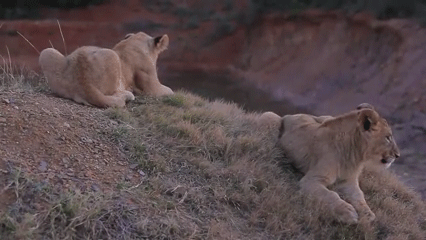 11. Ну все, я пошел