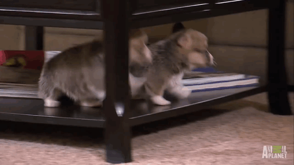 6. Раз, два, три... Прыгаем!