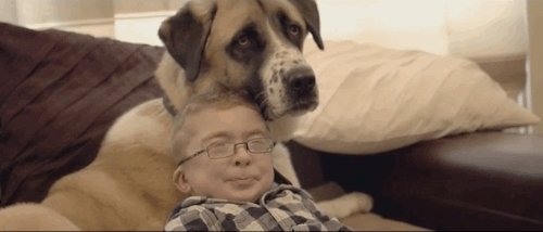 Собака, которая помогла больному мальчику обрести уверенность в себе