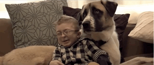 Собака, которая помогла больному мальчику обрести уверенность в себе