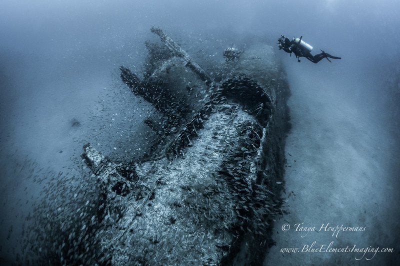 Таня Хоупперманс (Tanya Houppermans) сделала снимок субмарины U-352, которая затонула у берегов Северной Каролины еще во время Второй мировой войны