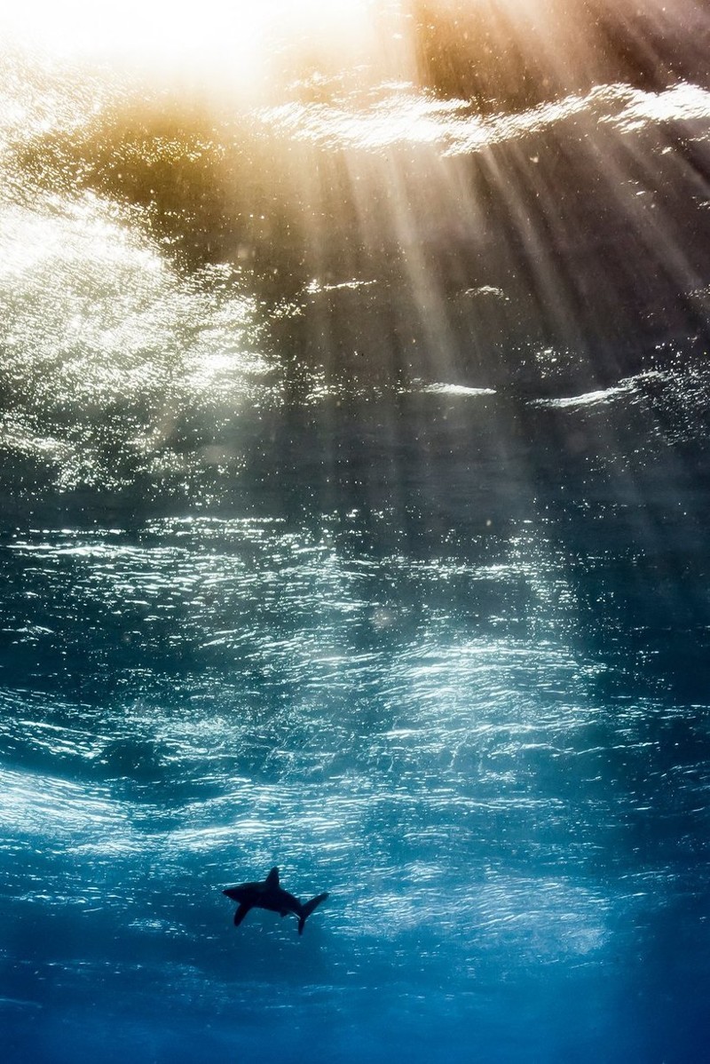 Орасио Мартинес из Аргентины стал самым многообещающим фотографом года за свой снимок «Океаническое небо»