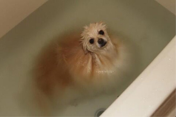 Как чудесна расслабляющая ванна!