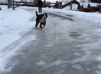 13. Первый раз на льду