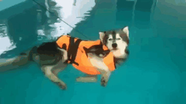 Это он так учится плавать 