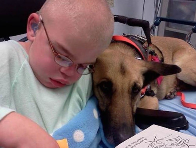 Обреченная собака и неизлечимо больной мальчик спасли друг друга