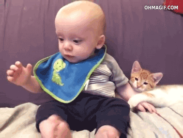 Животные, которые очень любят пошалить