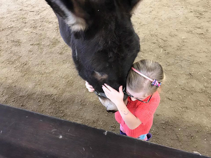Дружба с осликом помогла немой девочке сказать первые в жизни слова 