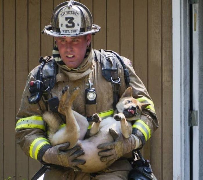 Храбрые пожарные и животные, которых они спасли