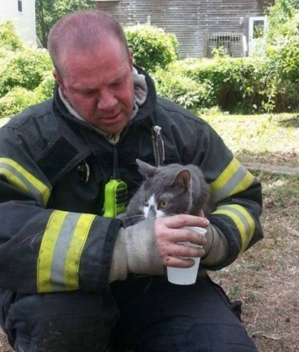 Храбрые пожарные и животные, которых они спасли
