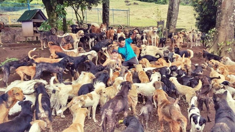 Эта семейная пара спасла 1000 собак, которых хозяева отдали на усыпление 