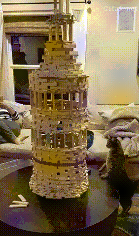 GIF доказательства, что коты — чертовски весёлые ребята