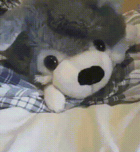 GIF доказательства, что коты — чертовски весёлые ребята