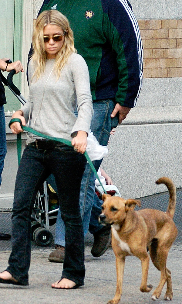 Эшли Олсен и ее собаки