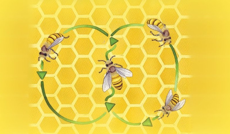 6. Танец пчёл