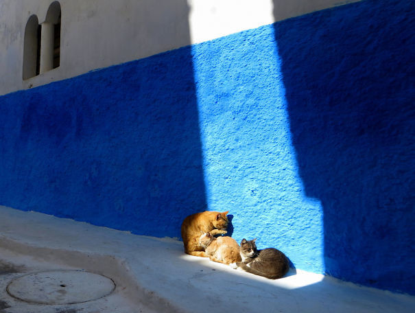 На теплом марокканском солнышке