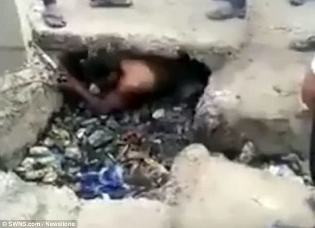 Индиец нырнул в канализацию ради спасения теленка