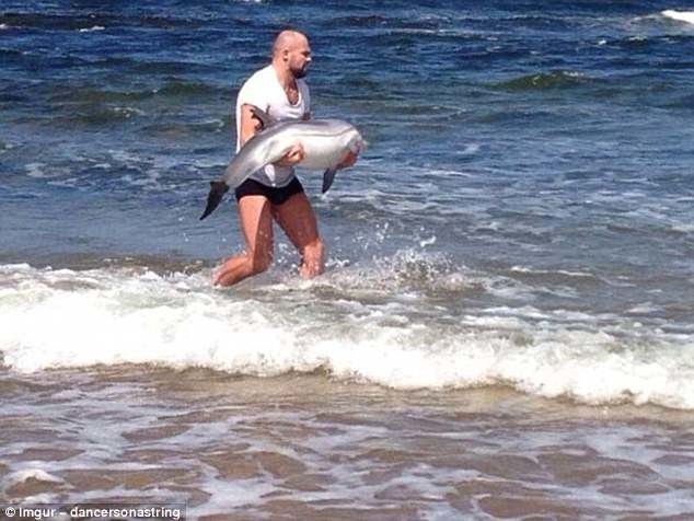 Прохожий спасает малыша дельфина, выброшенного на берег
