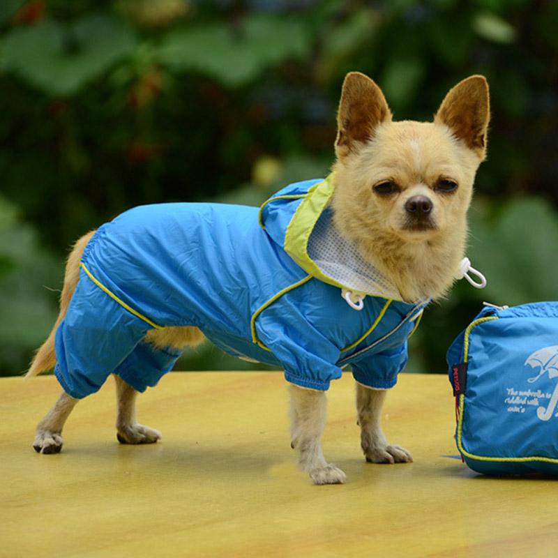 Собачья мода: как спрятаться от дождя и грязи