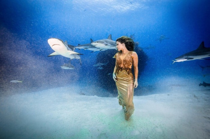 Впечатляющая фотосессия с акулами