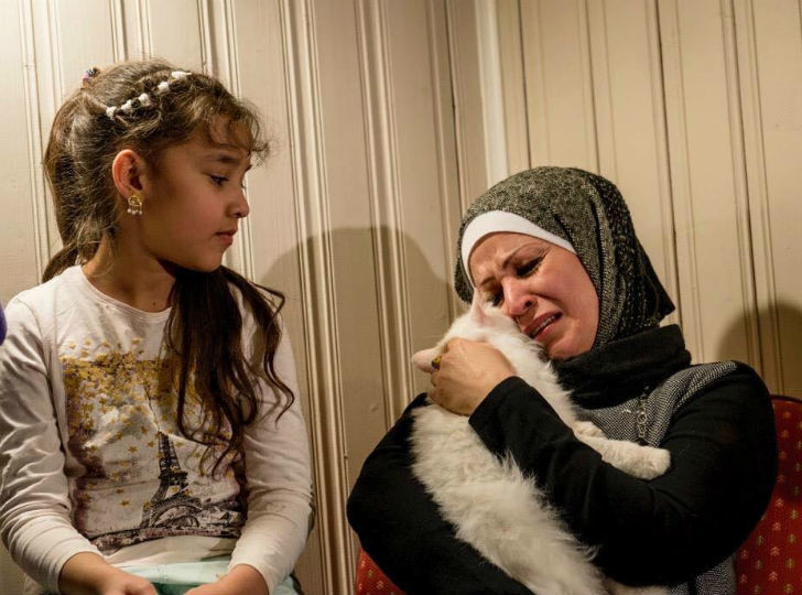 Потерявшийся кот вернулся в семью иракских беженцев, преодолев полмира