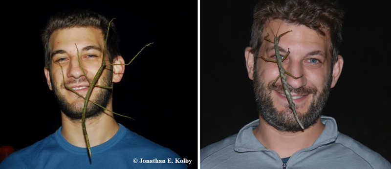Энтомолог прививает людям любовь к насекомым, сажая их себе на лицо