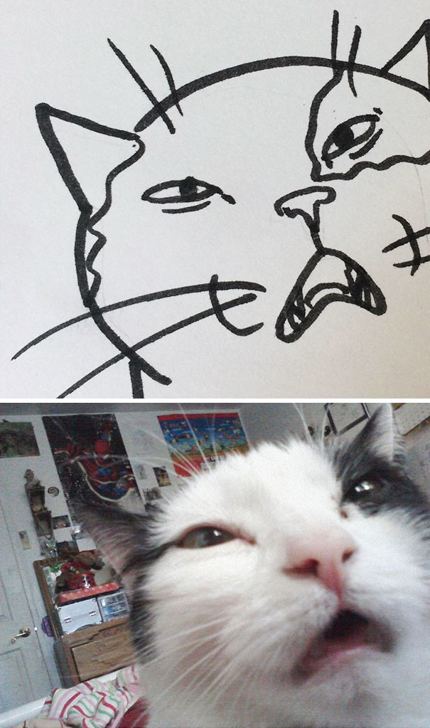 Кто сказал, что вы не умеете рисовать котиков?