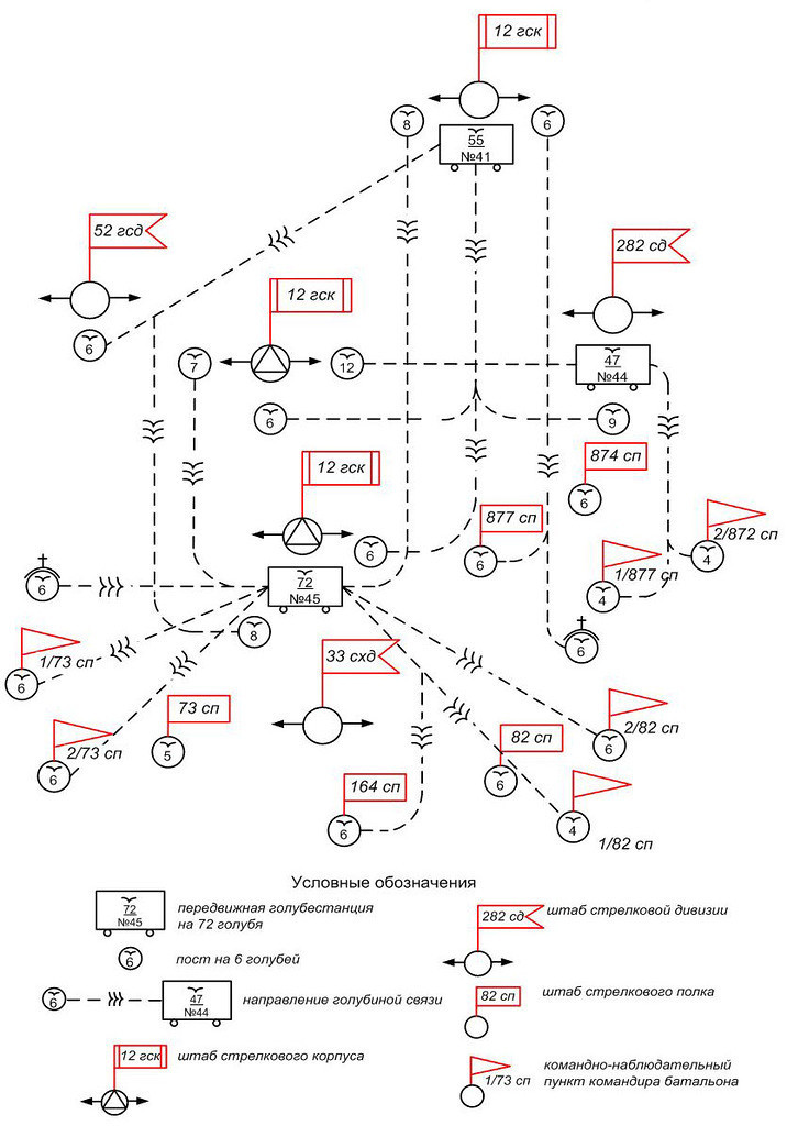 Схема организации двусторонней голубиной связи в боях при форсировании р. Великой 23-26 июня 1944 г.