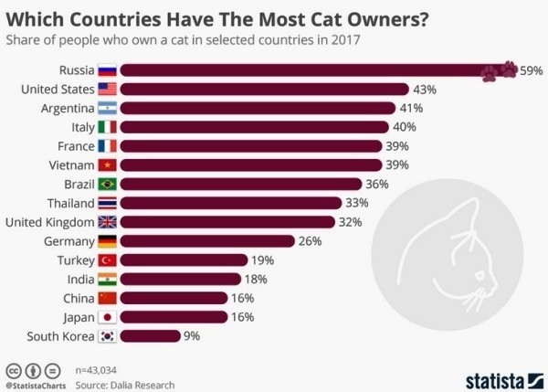 Любовь россиян к кошкам оказалась самой большой в мире