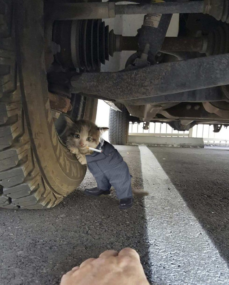 Просто проверяет давление в шинах