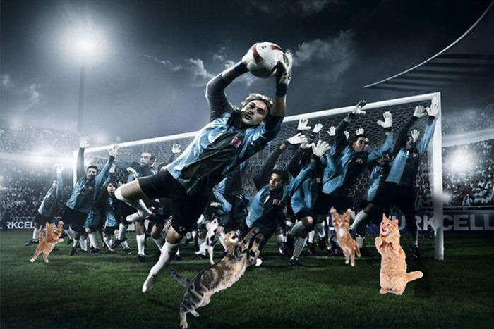 Что будет, если добавить в футбол немного котов?