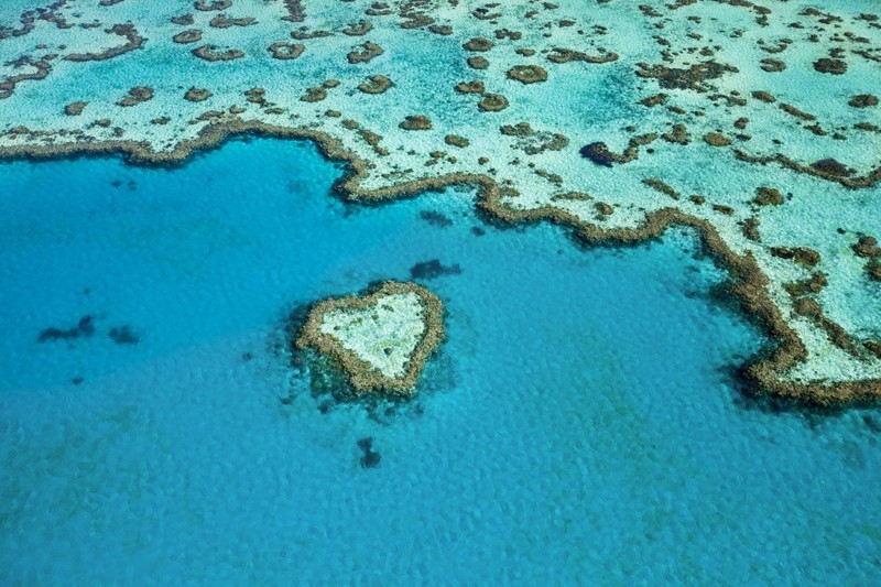 Самым большой на Земле природный объект, образованный живыми организмами - Большой Барьерный риф, 2300 км в длину  