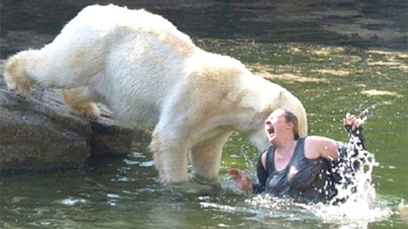 4. Нападение белого медведя на женщину в Берлинском зоопарке, 2009 г.