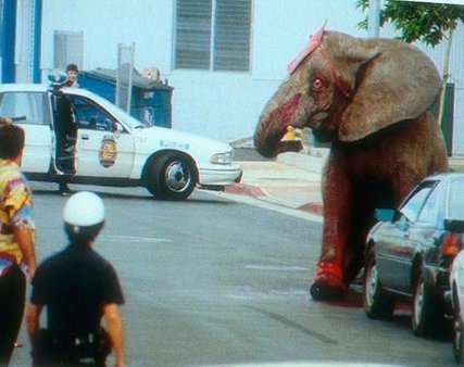 Эта слониха вырвалась из цирка после 20 лет пыток  и истязаний. Она крушила цирк, гонялась за клоунами и дрессировщиками. Полицейские выпустили в нее 86 пуль и она еще долго умирала...