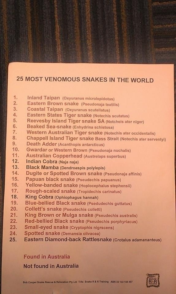 Но знали ли вы, что Австралия - родной дом 21 из 25 самых ядовитых змей?