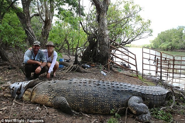 Пятиметровый крокодил щелкнул челюстями в нескольких сантиметрах от его лица