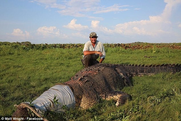 Пятиметровый крокодил щелкнул челюстями в нескольких сантиметрах от его лица
