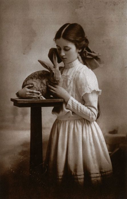 Девочка и кролик, 1909 год 