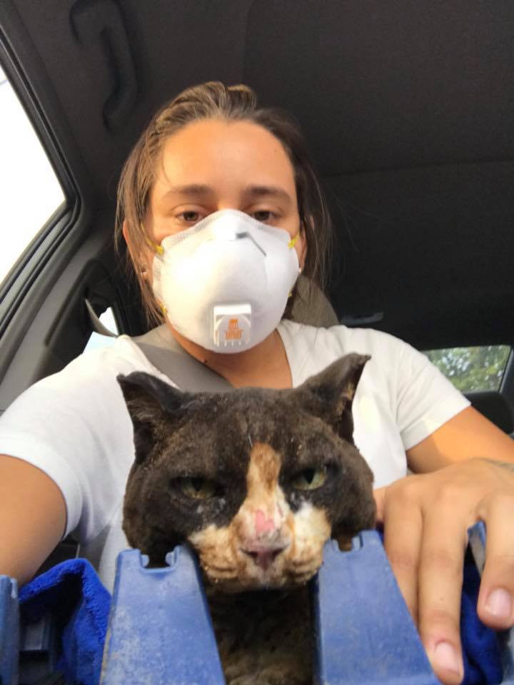 Девушки вернулись на пепелище, что бы спасти своего кота, но вместо этого спасли несколько жизней 