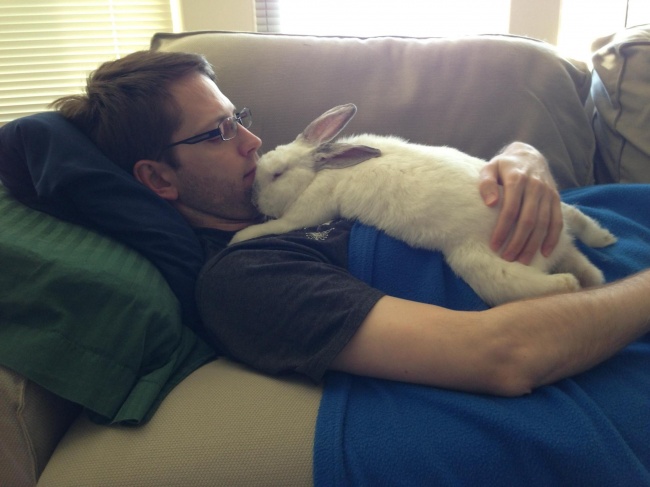 Приходя домой, он обнимает кролика, а не жену