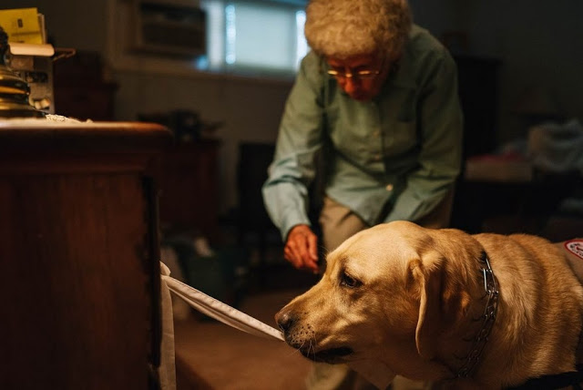 92-летняя бабуська не выходила из дома, пока не познакомилась с этим псом