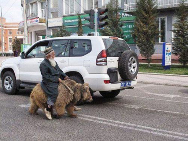 По улицам Душанбе прогуливались старик и медведица 