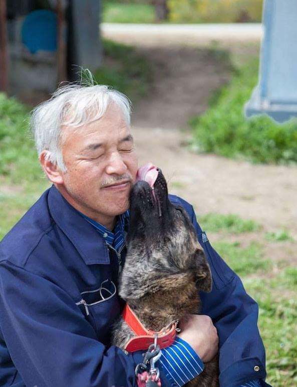 Мужчина вернулся в город после ядерной катастрофы, чтобы заботиться о животных 