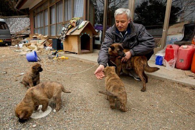 Мужчина вернулся в город после ядерной катастрофы, чтобы заботиться о животных 