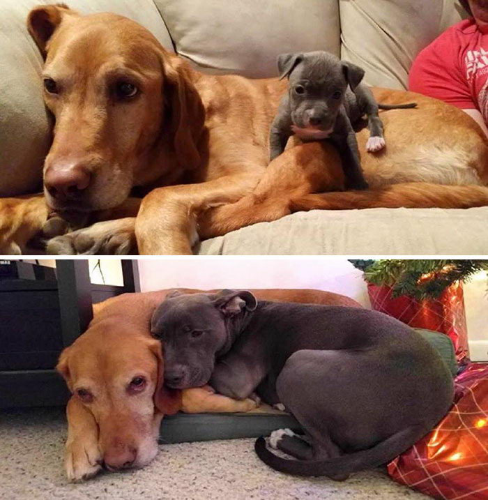 Растущие вместе: до и после