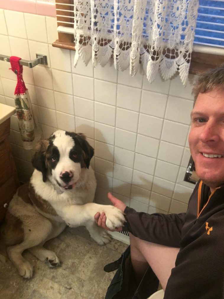 Этот щенок настаивает на том, чтобы держать руку владельца, когда он в ванной.